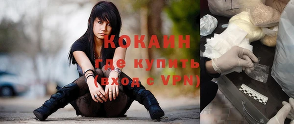 мдпв Няндома