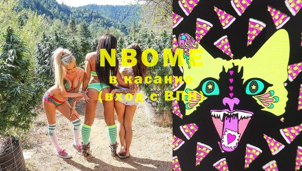 мдпв Няндома