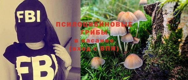 мдпв Няндома