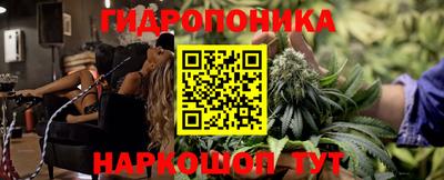 a pvp Гусь-Хрустальный