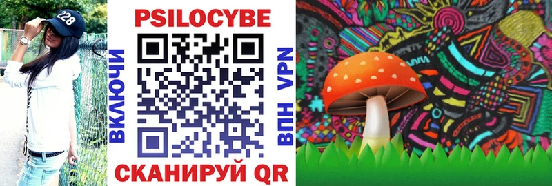 наркошоп Балтийск Псилоцибиновые грибы Psilocybine cubensis