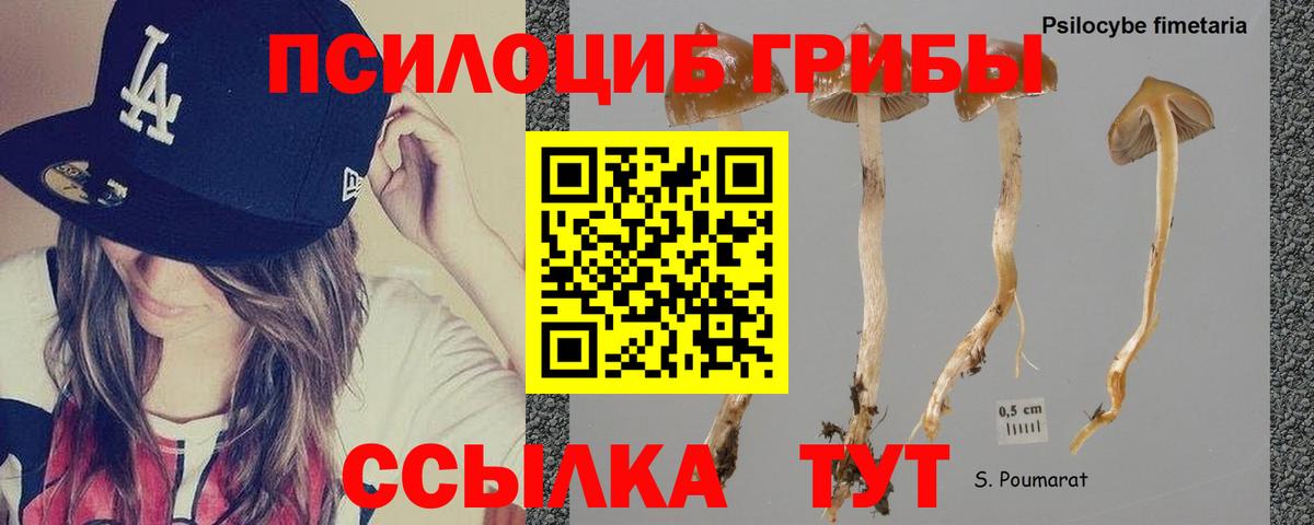 Балтийск  Псилоцибиновые грибы мухоморы  Вход с VPN 